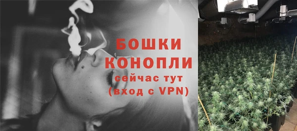 дмт Бугульма