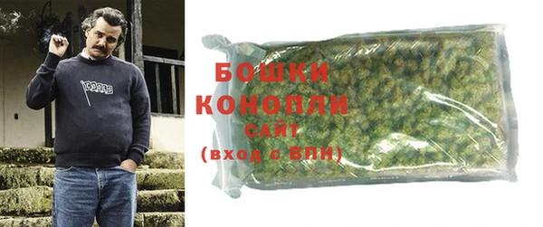СК Бронницы
